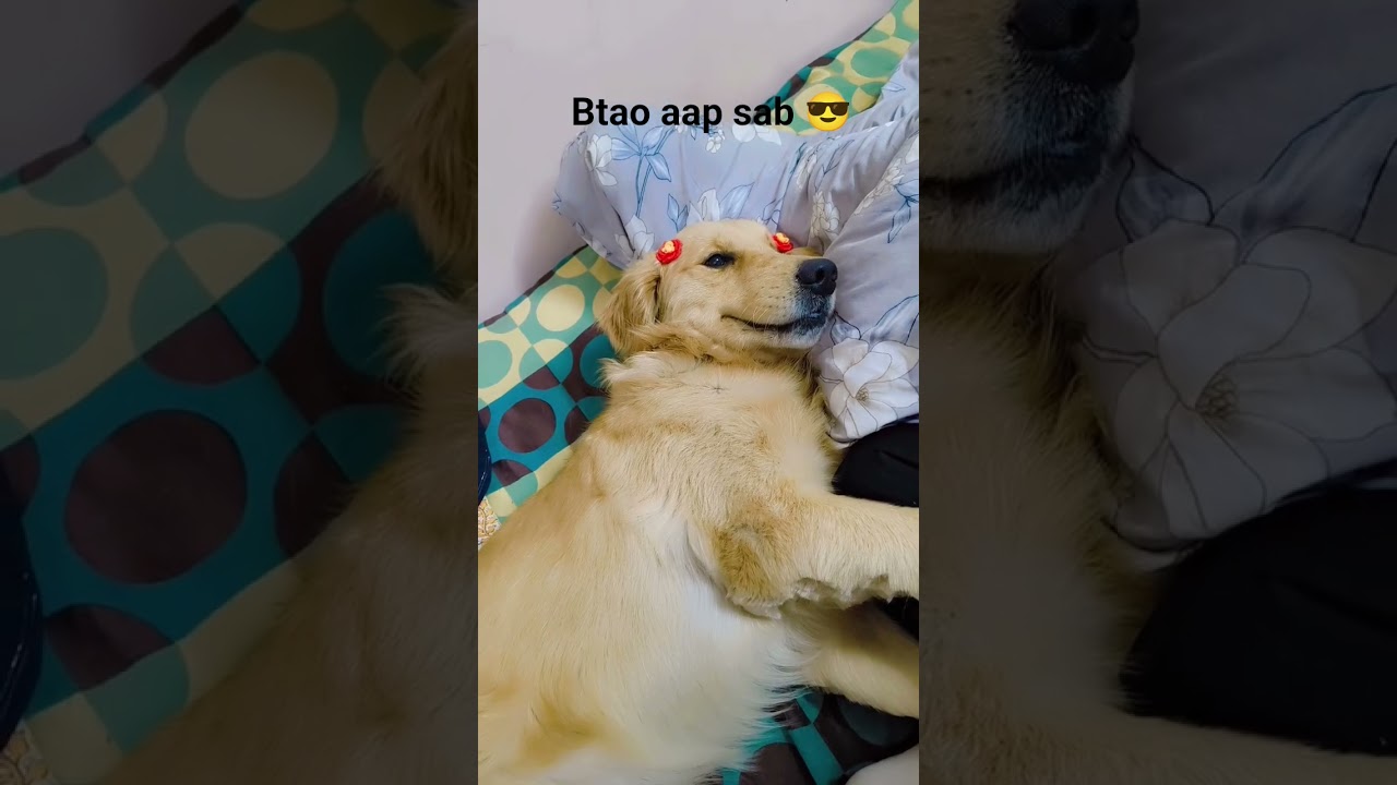 I m Handsome Boy 😎 