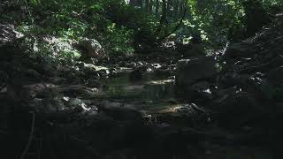 Midnight Tranquility: Water Sounds
