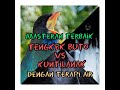 Masteran Cendet Suara Tengkek Buto Dan Kunti Jernih Dengan Terapi Air Mp3 - Mp4 Download