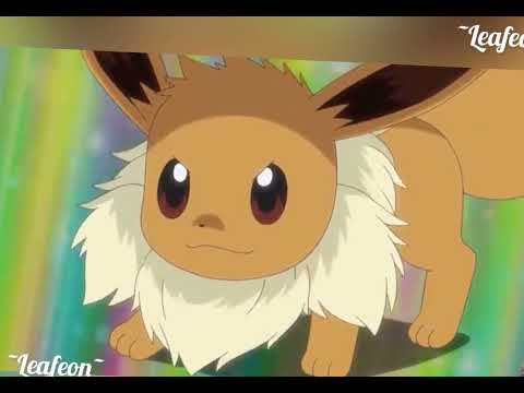 Copycat Eevee used Bubble beam | Pokémon Journeys