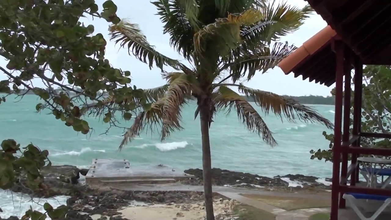 Bloody Bay, Jamaica YouTube