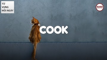 COOK | Phát âm - Giải nghĩa - Ví dụ | Từ vựng tiếng Anh
