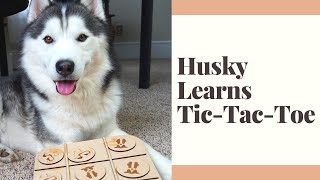 Husky learns to play Tic-Tac-Toe on a laser cut game board! screenshot 1