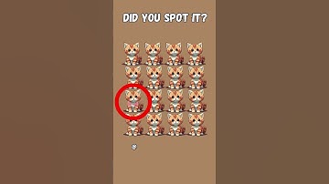 🐱 KUN JE HET? Vind de andere kat voor kattenliefhebbers! #CatLovers #shorts #animalshorts #catshorts