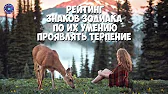 HOROSCOPE Гороскоп