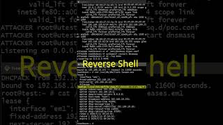FreeBSD CVE-2026-42511 「DHCP」 Vulnerability Testing #CVE #POC