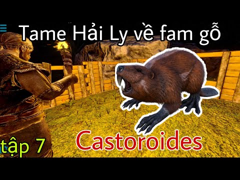 Video: Castoroides ăn gì?