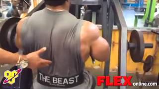 Muscle Elevator - Roelly Winklaar trains back as he prepares for the 2014 IFBB Chicago Pro #fitness