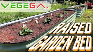 New Raised Garden Beds