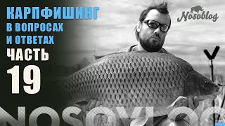 Карпфишинг в вопросах и ответах, А. Колесников, выпуск 19