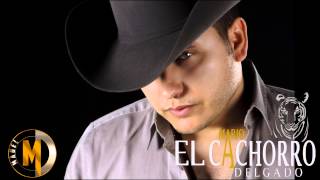 Mario "El Cachorro" Delgado - Mix De Corridos Nuevos