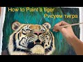 Как нарисовать тигра, поэтапно.  Подробный видео урок | How to paint a tiger step by step.