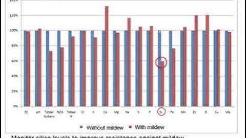 Nutrient Success with Plant Sap Analysis   Decoding Nutrient Uptake and Mobility 4 20 15, 2 14 PM