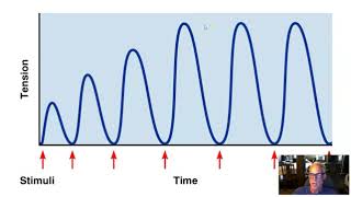 Exercise Phys Ch 8 Part 3 Factors Affecting Muscle Tension