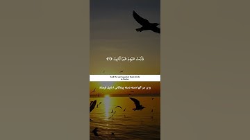 تلاوت زیبای سورة الفیل #تلاوت #قرآن #سوره #سورة #quran #reading #tilawat #religion #