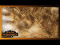 Карта кампании, первый взгляд на русском (Total War Warhammer III)