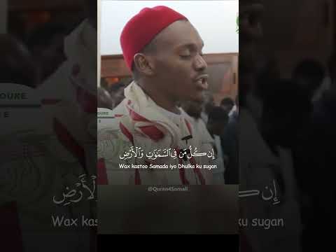 ت ك اد ٱلس م  و ت ي ت ف ط ر ن م ن ه و ت نش ق ٱل أ ر ض   