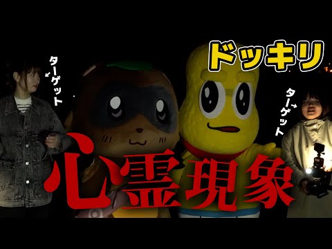 【気づく?】偽心霊スポットにプロを連れていった結果…