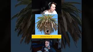 Hidden Faces On Everyday Objects