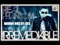 Real Phantom Irremediable Mambo RMX mp3