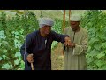 الحاج الضوى البخيل والخيار