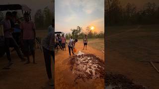 Building Our Own Cricket Pitch from Scratch! | Village Floodlight Tournament 🏏✨