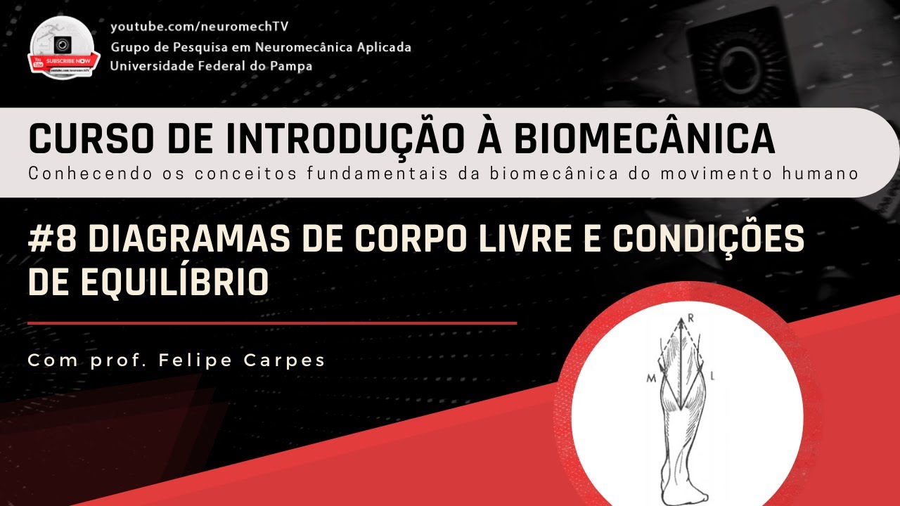 INTRODUÇÃO À BIOMECÂNICA #8 Diagramas de corpo livre e condições de equilíbrio