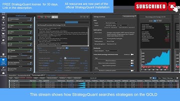 StrategyQuant building strategies on the GOLD (Complete Workflow)