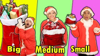 Big Vs Medium Vs Small Christmas Challenge | Hungry Birds