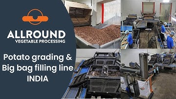 Potato inspection, grading and big bag filling lines | SKC | Allround Vegetable Processing
