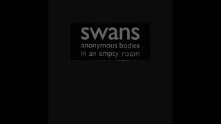 Swans – Will We Survive