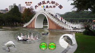 20191128b魏老師tour臺北市內湖區大湖公園