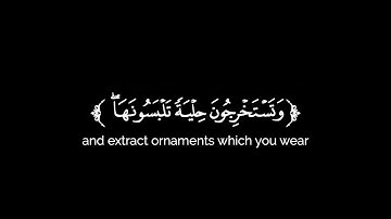كروما شاشة سوداء قرآن كريم 🌿تلاوة من سورة فاطر 🌿القارئ عاصم بلال بني خالد 🌿