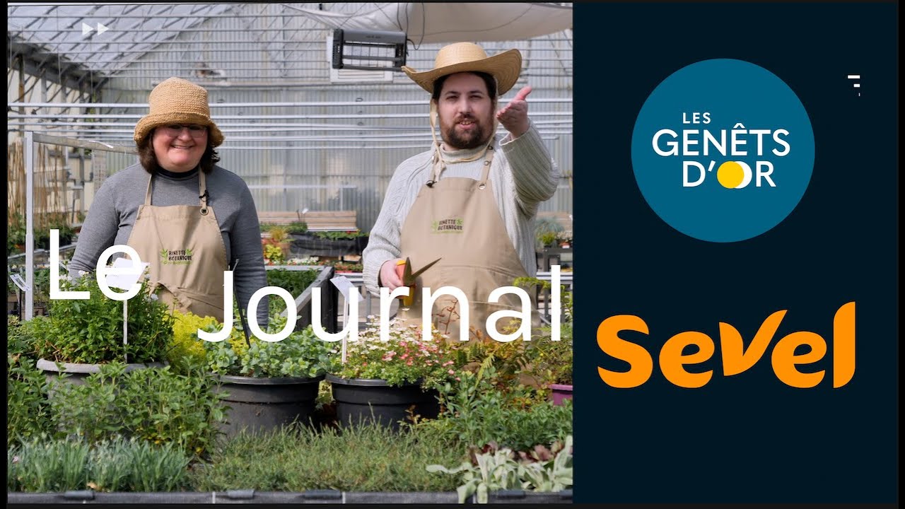 Le journal des Genêts d'Or et de Sevel - janvier 2025