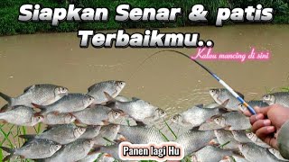 PINGIN MANCING TAWES DAPAT BANYAK? COBALAH CARA INI, DIJAMIN.#mancing #mancingtawes