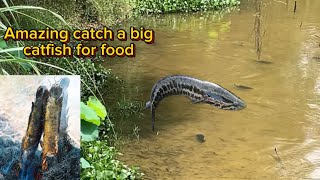 Amazing catch a big catfish for food of survival - Big fish grilled chili for dinner