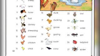 Lesson 30. On the Farm. Express Picture Dictionary.