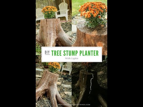 DIY Tree Stump Planter Part 1
