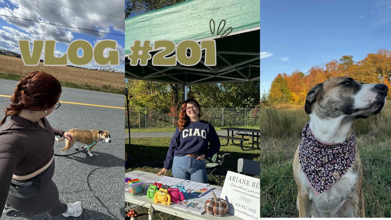 VLOG #201 - Marché d’automne & achats Jean Coutu (j'abuse)