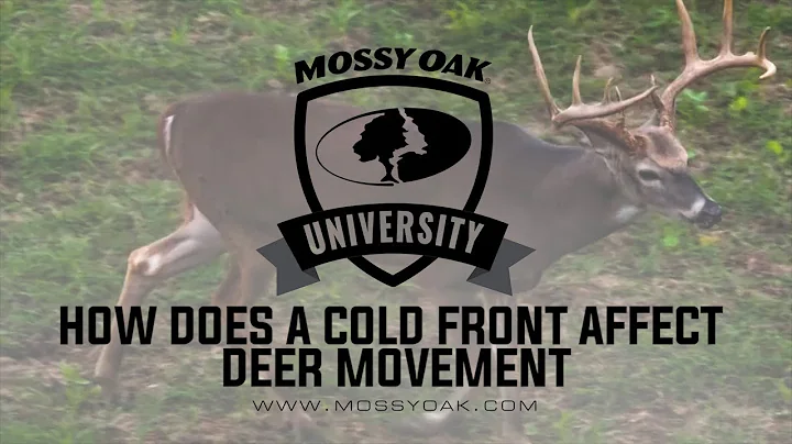 How Does a Weather Front or Cold Front Affect Deer Movement