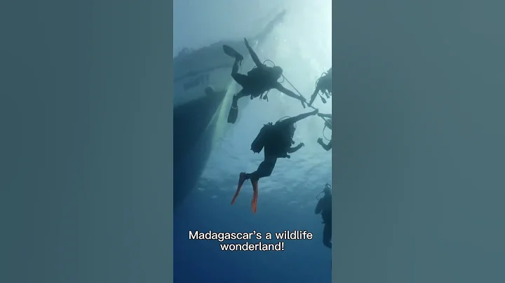 Madagascar Island: A Biodiversity Paradise