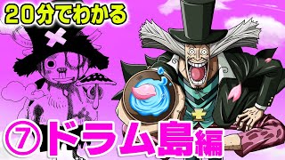 【20分で分かる】⑦ ドラム島編 ストーリー 解説 【 ワンピース ONE PIECE 】