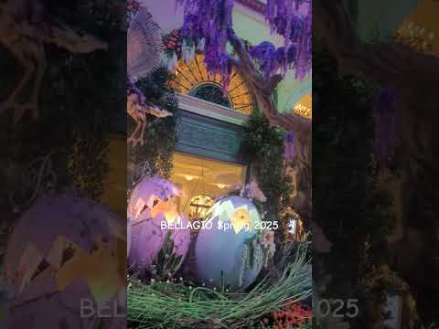 🔴LIVE ROULETTE | 💰 MEGA WIN 💲22.500 In Las Vegas Casino 🎰 Fantastic Profit Exclusive ✅ 2024-04-19
