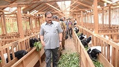 CARA TERNAK KAMBING TERBAIK HASIL SUPER - Durasi: 3.34. 