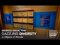 view Narrated Virtual Tour: Objects of Wonder Exhibit – Dazzling Diversity digital asset number 1