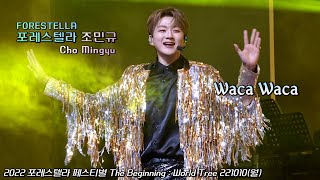 Waka Waka | 조민규(Cho MinGyu) | 2022 포레스텔라 페스티벌 The Beginning : World Tree | 221010(월)