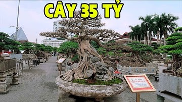 Bàn giao tác phẩm 35 tỷ tại triển lãm cây cảnh nghệ thuật Bắc Ninh 2022