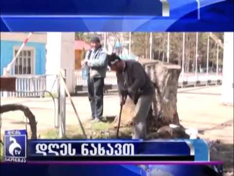 16 აპრილის დღის ქრონიკის ანონსი