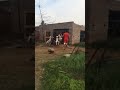 Jernail singh bhindrr from charda punjab stone lifting 150kg bohat alla best video#2 #weightlifting