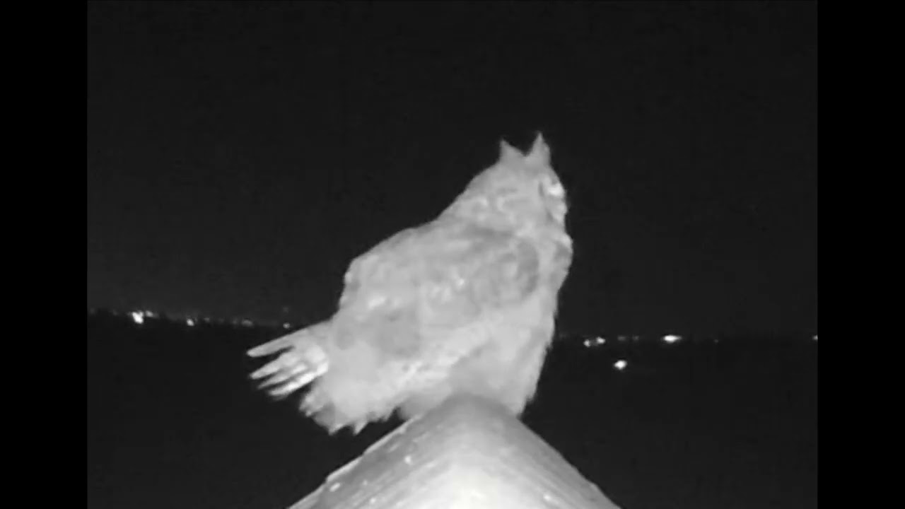 Tomky Wildlife Reserve 